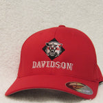 Davidson Wildcats Hat