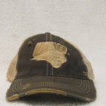 Northern Iowa Panthers Hat