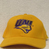 Northern Iowa Panthers Hat